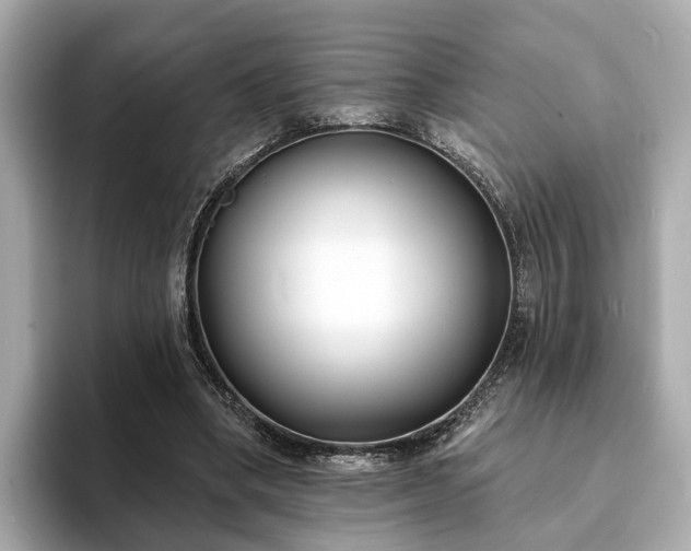X0000094070394200710261251