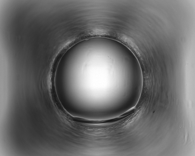 X0000094070395200710261251