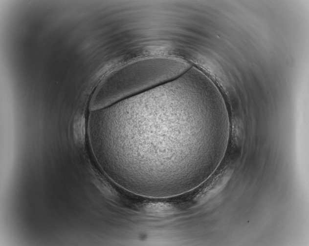 X0000094070397200710261251