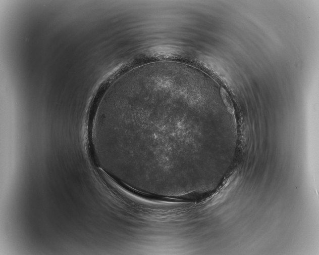 X0000094070399200710261251