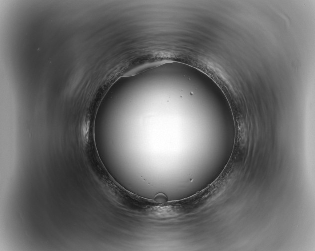 X0000094070406200710261251