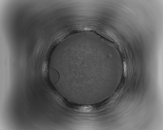 X0000094070410200710261250