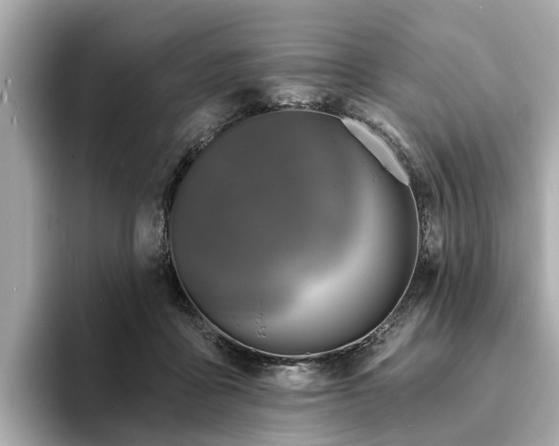 X0000094070411200710261250