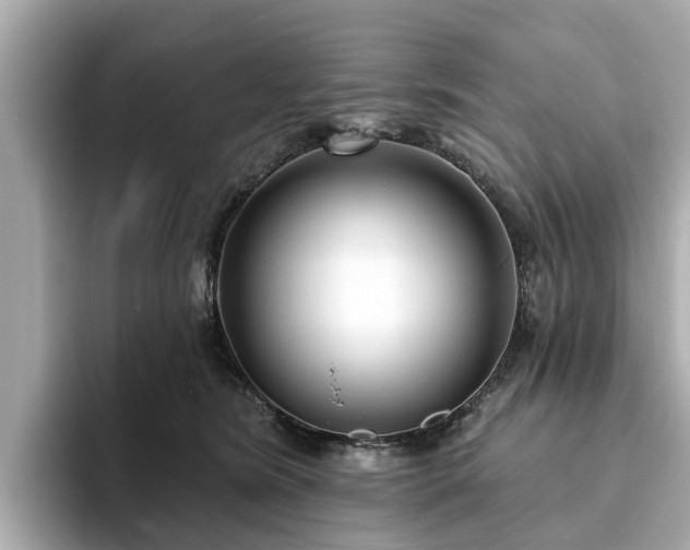 X0000094070420200710261250