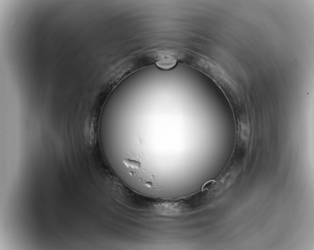 X0000094070422200710261250