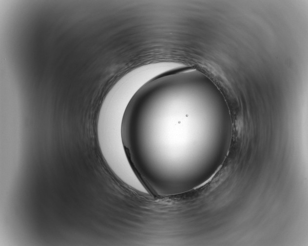 X0000094070423200710261250