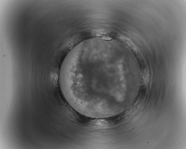 X0000094070427200710261250