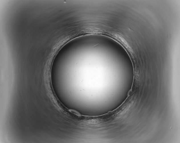 X0000094070433200710261250