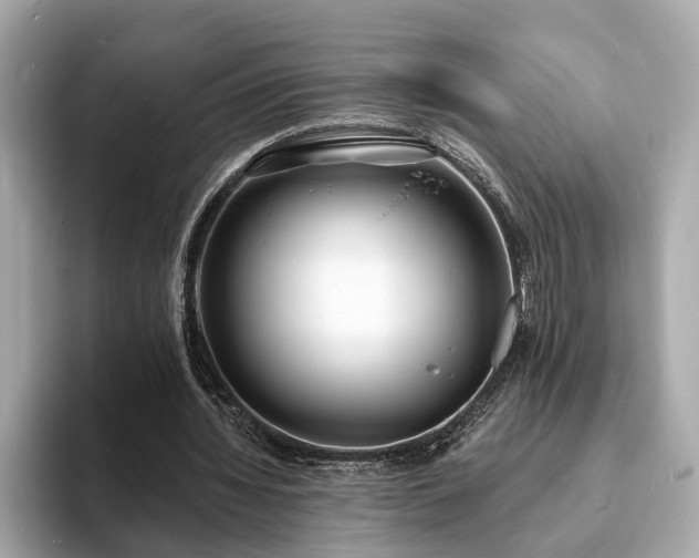 X0000094070436200710261250