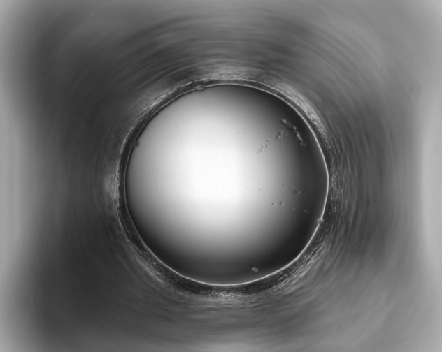 X0000094070437200710261250