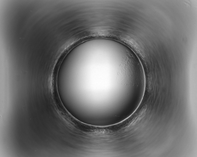 X0000094070439200710261250