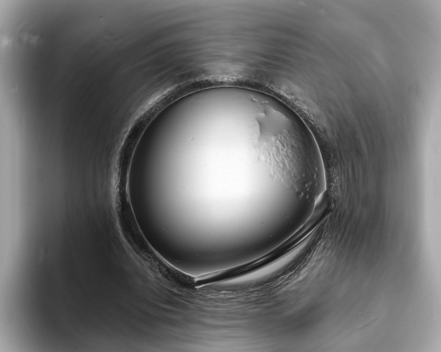 X0000094070440200710261250