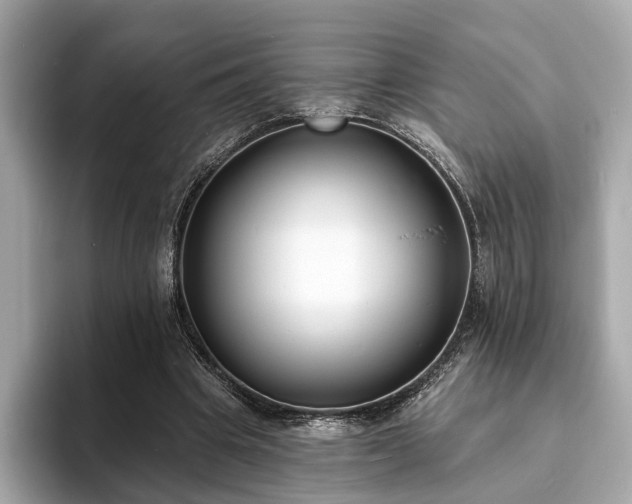 X0000094070441200710261250