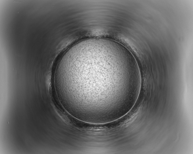 X0000094070443200710261250