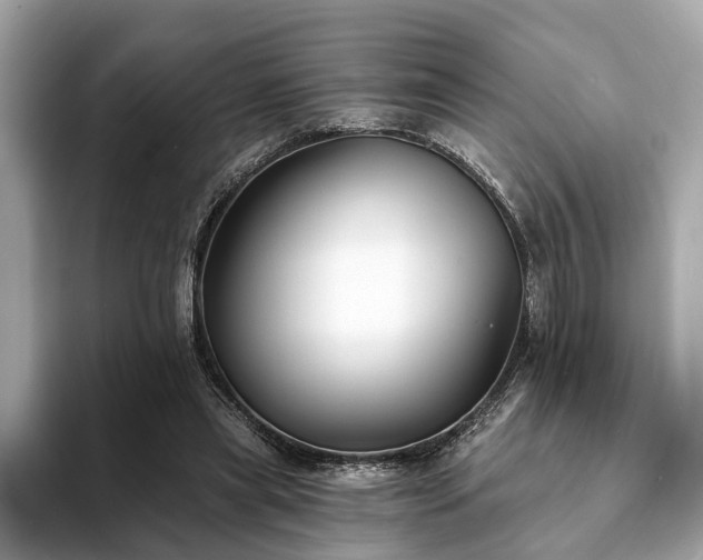 X0000094070445200710261250