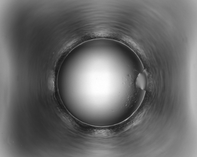 X0000094070446200710261250