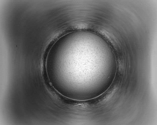 X0000094070447200710261250