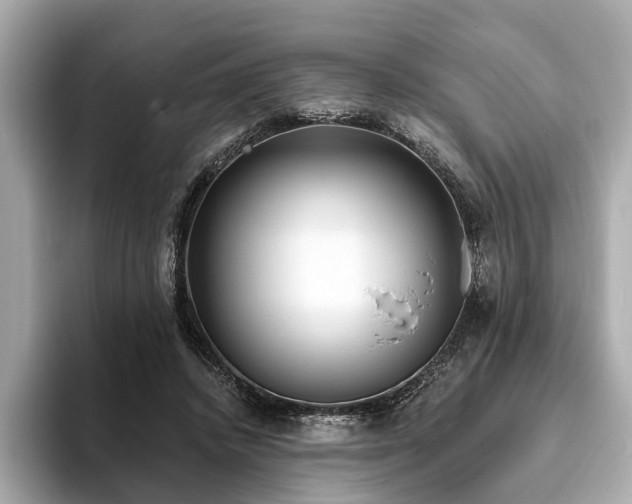X0000094070448200710261250