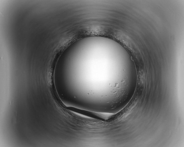 X0000094070450200710261250