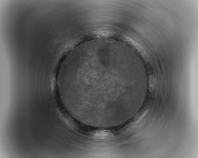 X0000094070451200710261250
