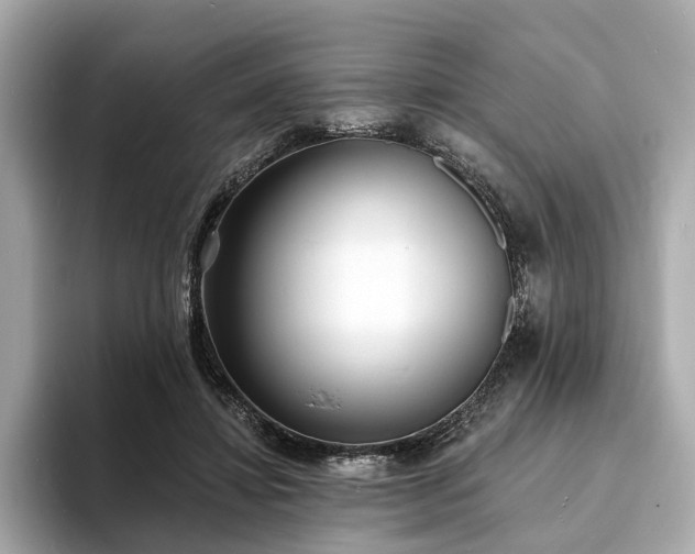 X0000094070452200710261250