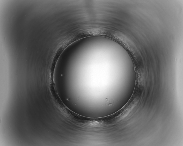 X0000094070453200710261250