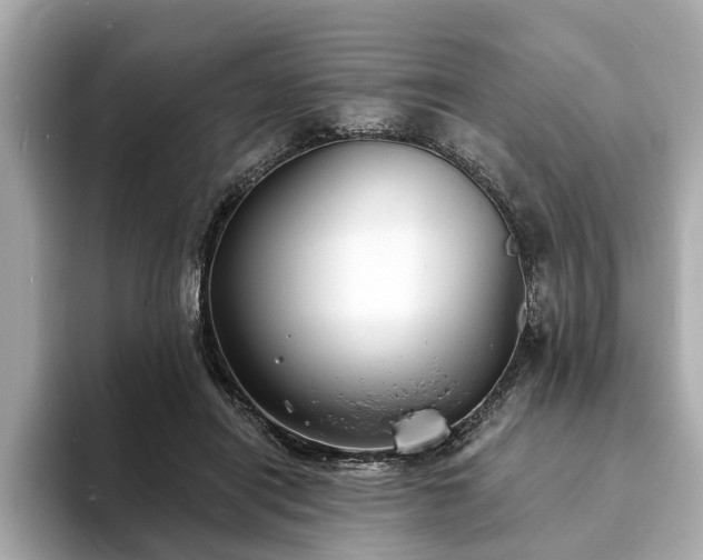 X0000094070454200710261250