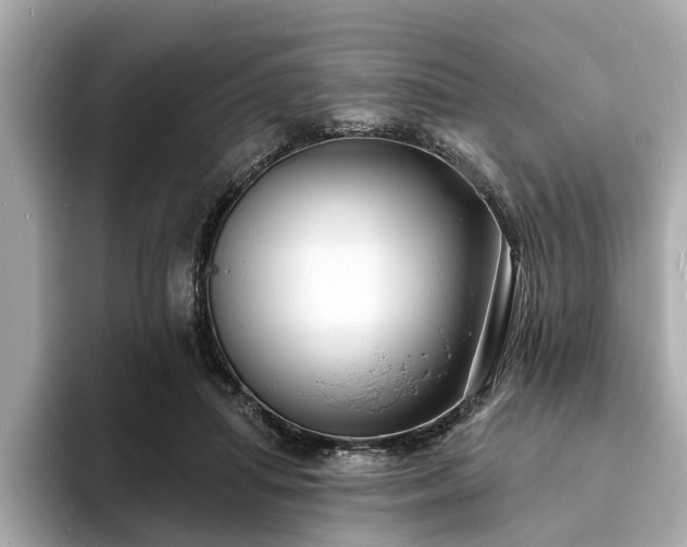 X0000094070455200710261250