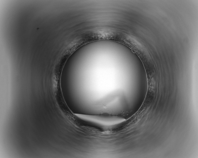 X0000094070456200710261250