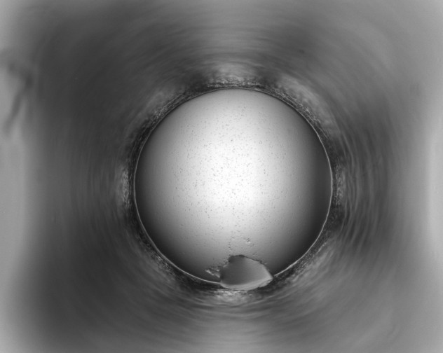 X0000094070457200710261250