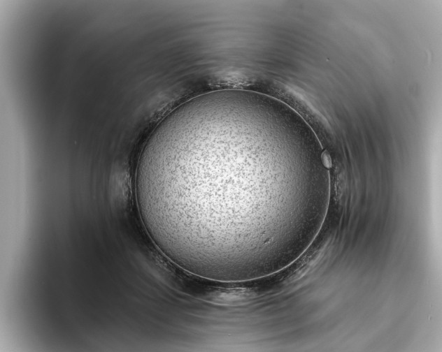 X0000094070459200710261250