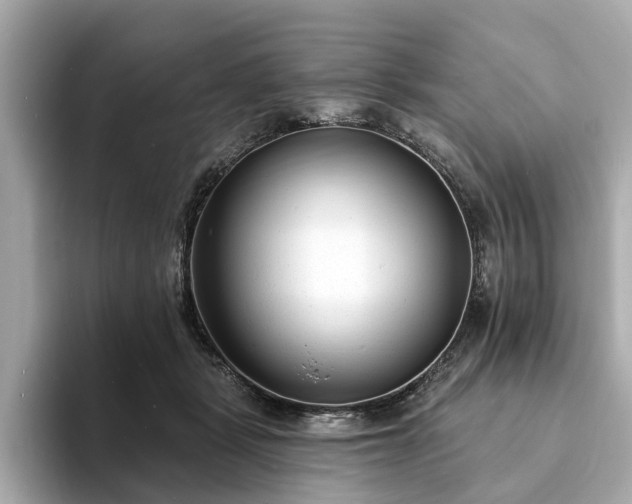 X0000094070461200710261250