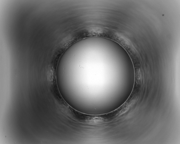 X0000094070463200710261250