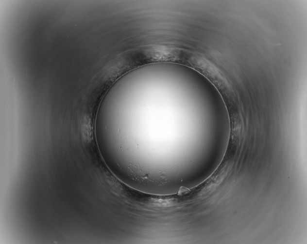 X0000094070469200710261250