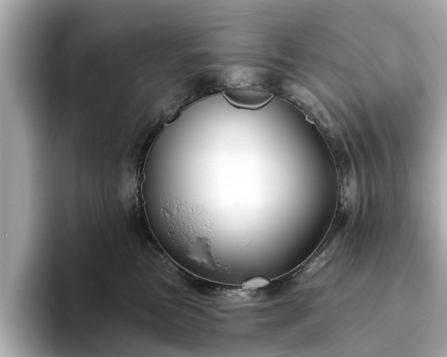 X0000094070473200710261250