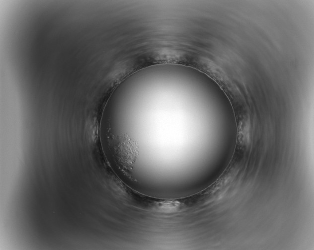 X0000094070474200710261250