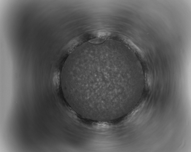 X0000094070475200710261250