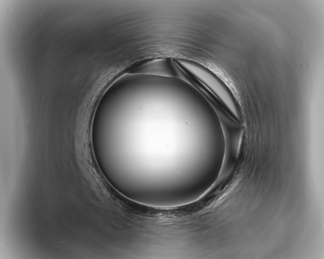 X0000094070481200710261250