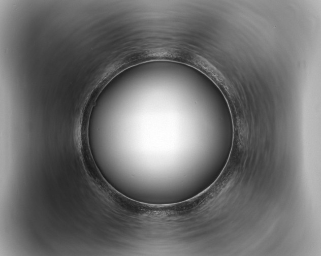 X0000094070482200710261250