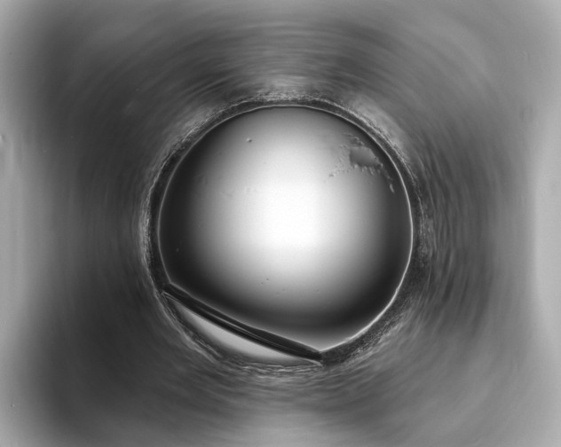 X0000094070485200710261249