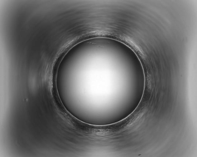 X0000094070486200710261249