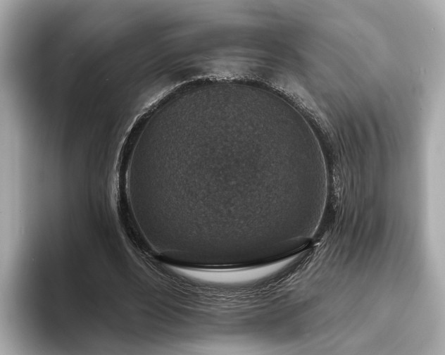 X0000094070488200710261249