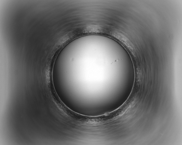 X0000094070489200710261249