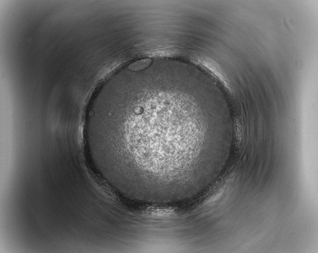 X0000094070491200710261249