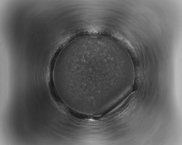 X0000094070496200710261249