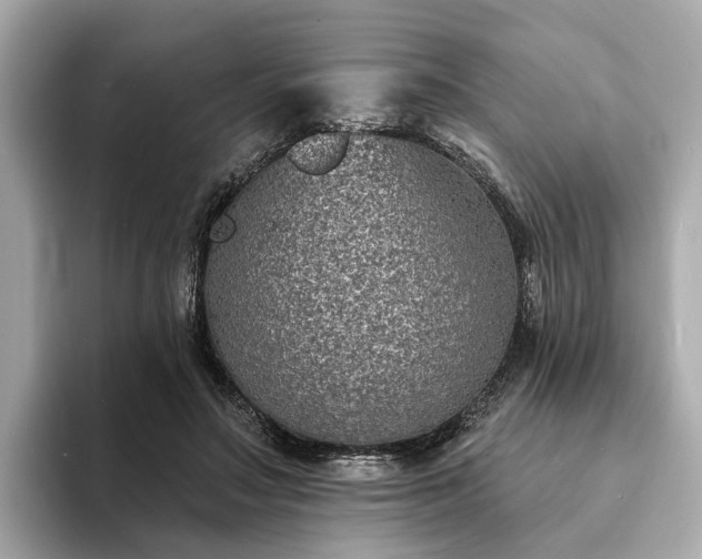 X0000094070499200710261249