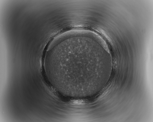 X0000094070500200710261249