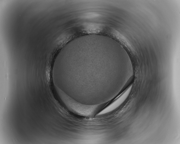 X0000094070501200710261249