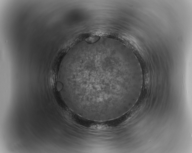 X0000094070503200710261249