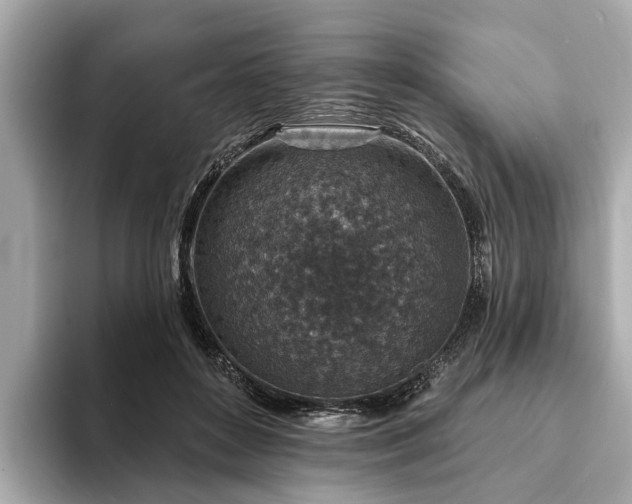X0000094070504200710261249